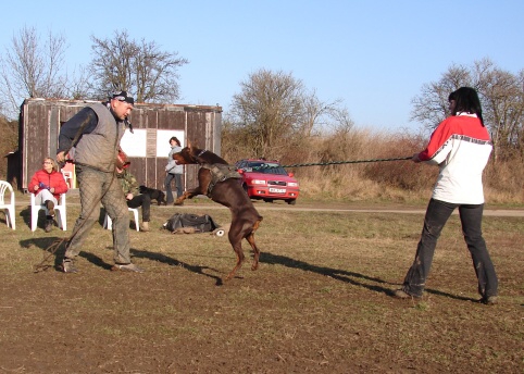 The christmas training 27.12.2006